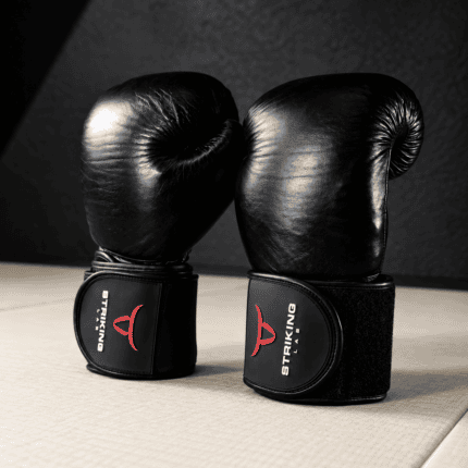 poids pour gants de boxe